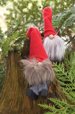 Reindeer Tomte